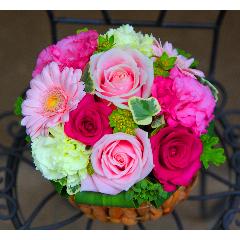 �o�����^�C�����K�N���y�� ���[�[�@M �s���N�z