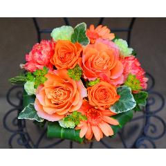 �o�����^�C�����K�N���y�� ���[�[�@M �I�����W�z