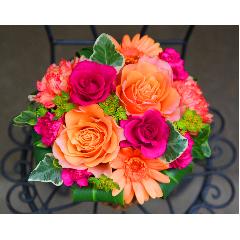 �o�����^�C�����K�N���y�� ���[�[�@M �r�r�b�h�z