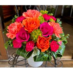 �o�����^�C���u���[�Y�K�[�f���A�����WM �r�r�b�h�v