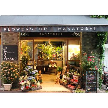 フラワー バルーン プードル アプリコット 花屋 ｈａｎａｔｏｓｈｉ のオリジナル商品 フラワーギフトはプロのお花屋さん におまかせ フジテレビフラワーネット