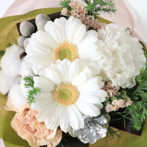 Ԗ卡̉ԁuK[x̃u[Pv3