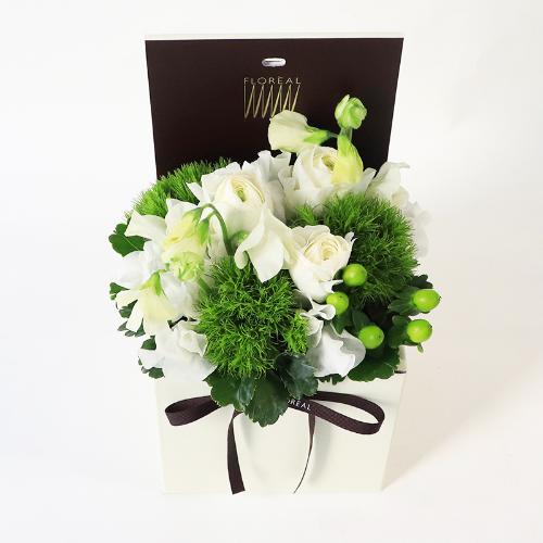 �t�����A���u�V�����}���X�y�V�����e�v2