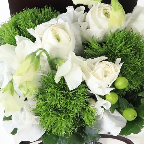 �t�����A���u�V�����}���X�y�V�����e�v3