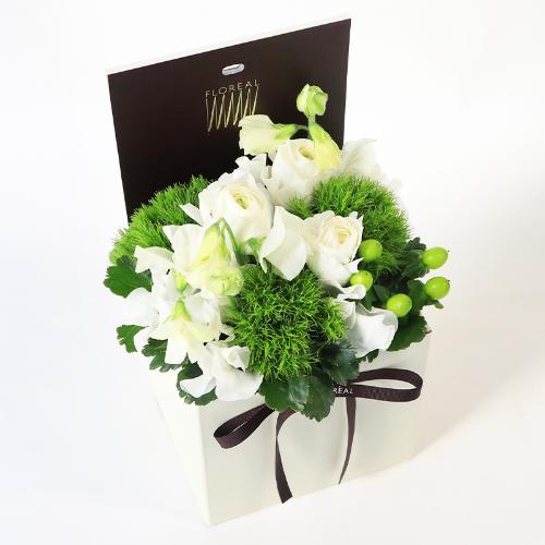 �t�����A���u�V�����}���X�y�V�����e�v4