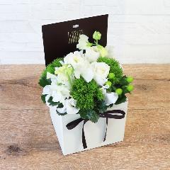 �t�����A���u�V�����}���X�y�V�����e�v