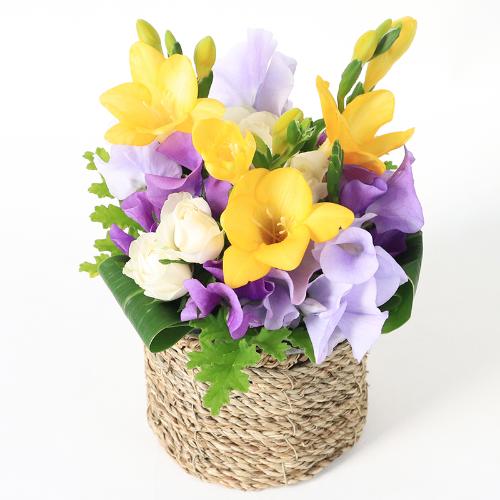 ����Ԗ卡���̉ԁu�t���[�W�A�̃A�����W�����g�v2