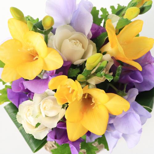 ����Ԗ卡���̉ԁu�t���[�W�A�̃A�����W�����g�v3