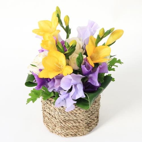 ����Ԗ卡���̉ԁu�t���[�W�A�̃A�����W�����g�v4