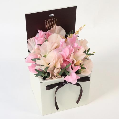 �t�����A���u�V�����}���X�y�V�����e�v2