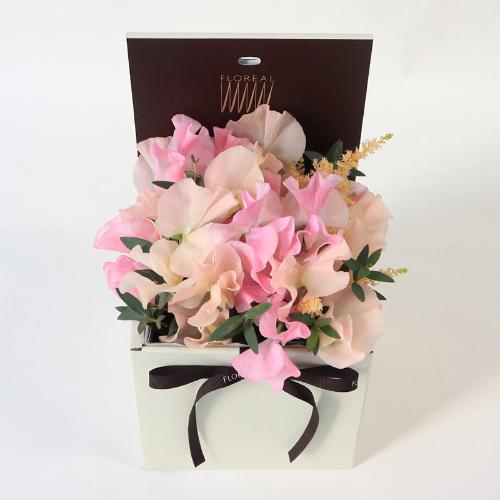 �t�����A���u�V�����}���X�y�V�����e�v4