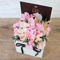 �t�����A���u�V�����}���X�y�V�����e�v