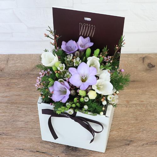 �t�����A���u�V�����}���X�y�V�����e�v