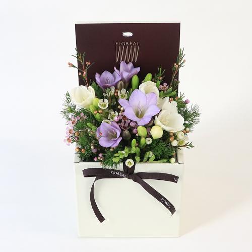 �t�����A���u�V�����}���X�y�V�����e�v2