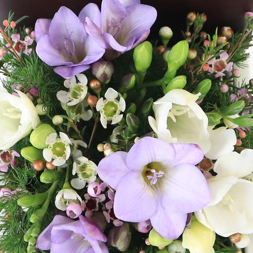 �t�����A���u�V�����}���X�y�V�����e�v3