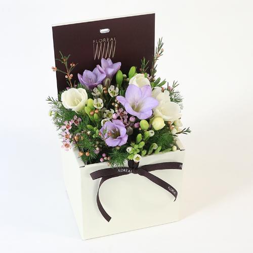 �t�����A���u�V�����}���X�y�V�����e�v4