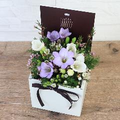 �t�����A���u�V�����}���X�y�V�����e�v