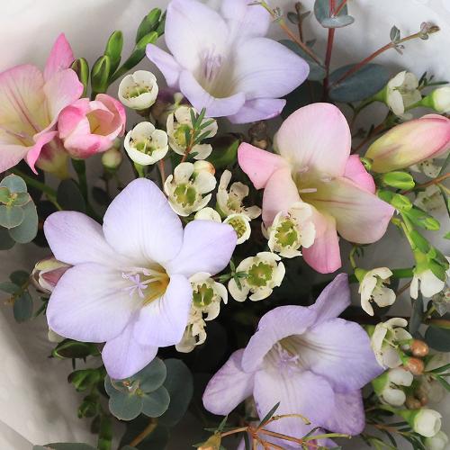 �t�����A���u�t���[�W�A�̃��R�����h�u�[�P�v3