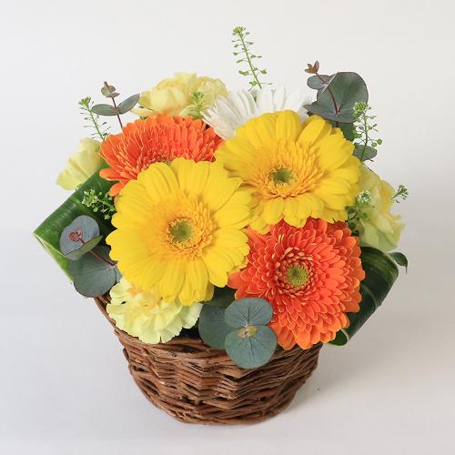 ����Ԗ卡���̉ԁu�K�[�x���̃A�����W�����g�v2