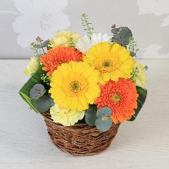 ����Ԗ卡���̉ԁu�K�[�x���̃A�����W�����g�v