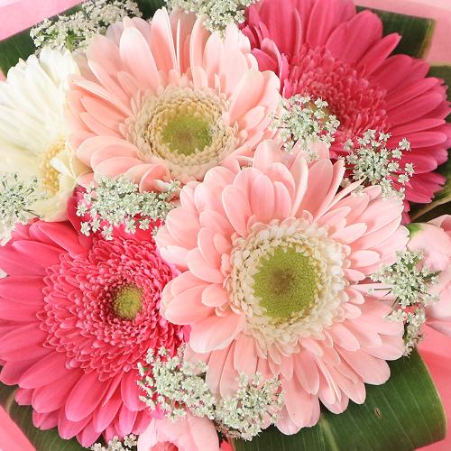 ����Ԗ卡���̉ԁu�K�[�x���̃u�[�P�v3