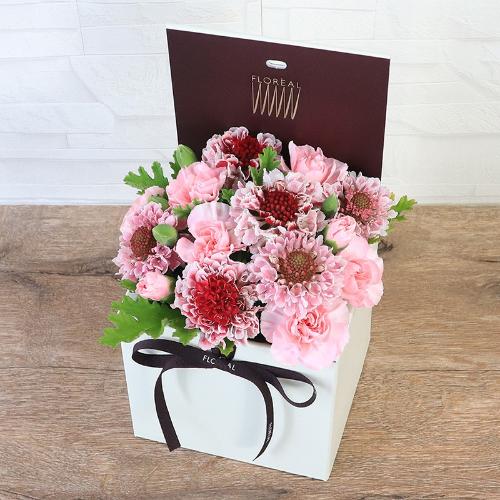 �t�����A���u�V�����}���X�y�V�����e�v