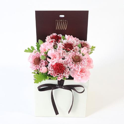 �t�����A���u�V�����}���X�y�V�����e�v2