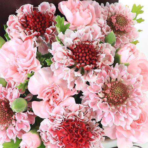 �t�����A���u�V�����}���X�y�V�����e�v3