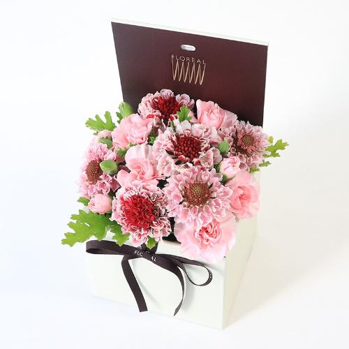 �t�����A���u�V�����}���X�y�V�����e�v4