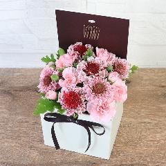 �t�����A���u�V�����}���X�y�V�����e�v