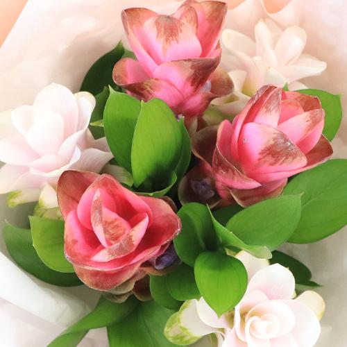 �t�����A���u�N���N�}�̃��R�����h�u�[�P�v3