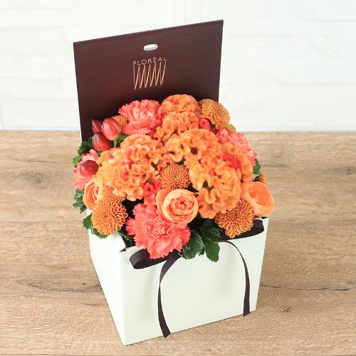 �t�����A���u�V�����}���X�y�V�����e�v