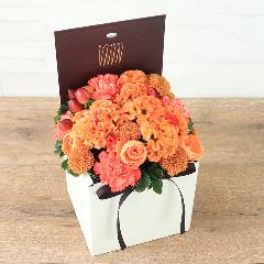 �t�����A���u�V�����}���X�y�V�����e�v