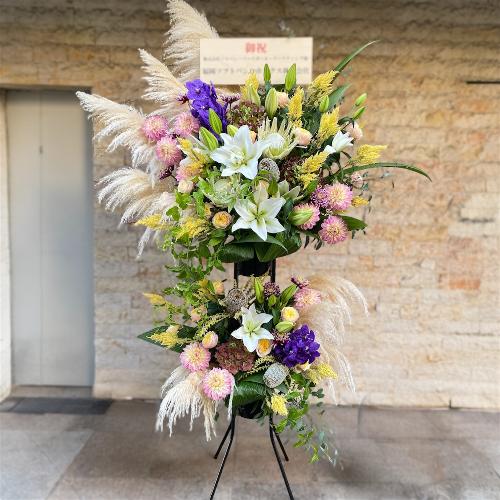 [j]akiIXX@G߂̂Ԃł܂t[X^h