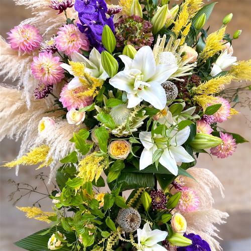 [j]akiIXX@G߂̂Ԃł܂t[X^h2