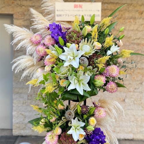 [j]akiIXX@G߂̂Ԃł܂t[X^h4