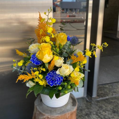 [j] Aki߁@u[̂ԂgAWg