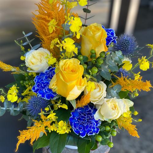 [j] Aki߁@u[̂ԂgAWg2