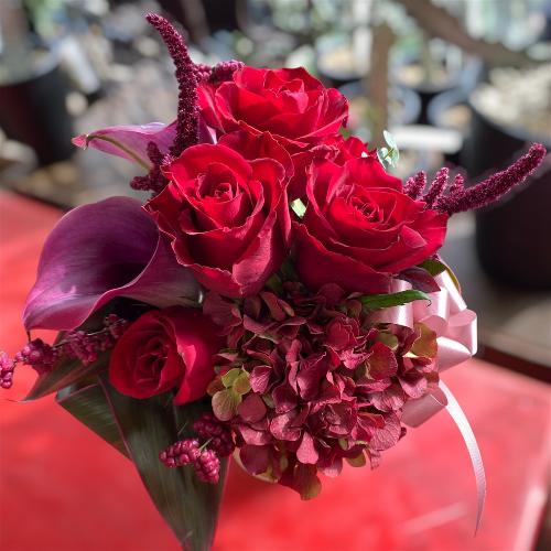 [���j��] �ԃo���̃A�����W2