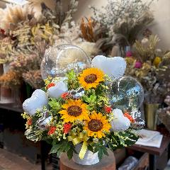 ���C���o���[���A�����W�@�y�z�B�\�G���A �����s�`��E�i���E���c��E�ڍ���E������z