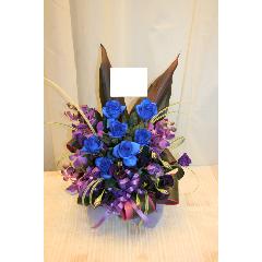 ��NEW�ۥ���󥸥ե����֥롼���ѡ��ץ�ο���Ū�ʥ���󥸡�