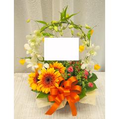 ����󥸥ե������󥹤������ȸ��륢��󥸡ʥ���󥸷ϡˡ���Ź�͵�No.1��