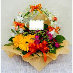 ��NEW!!����͵�����ܥ��դ��ؤä�����󥸢�