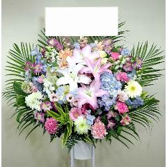 �դ˥ԥå���ʥ�����ɢ����ڼ����ã�ϰ衧�����ʸ�����