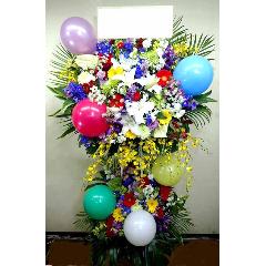 ����ե�ǹ�ڤʥ�����ɡ����ڼ����ã�ϰ衧�����ʸ�����