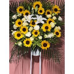 iID 2351 X^hԁ@q}@1iyȔzBnFsz