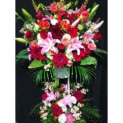 iID 3383 X^hԁ@sNn@2iyȔzBnFsz