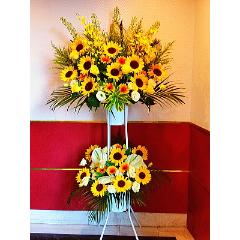 iID 2369 X^hԁ@q}@2iyȔzBnFsz
