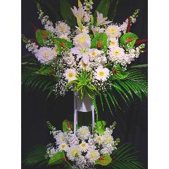 iID 2610 X^hԁ@n@2iyȔzBnFsz