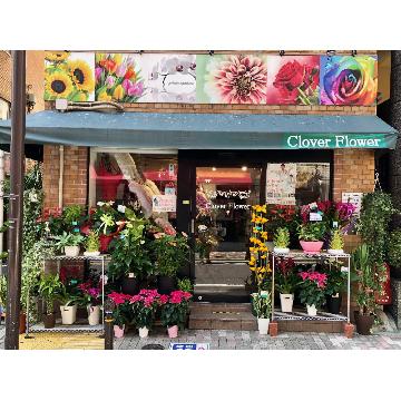 東京都文京区の花屋 Clover Flower をご紹介 フラワーギフトはプロのお花屋さんにおまかせ フジテレビフラワーネット